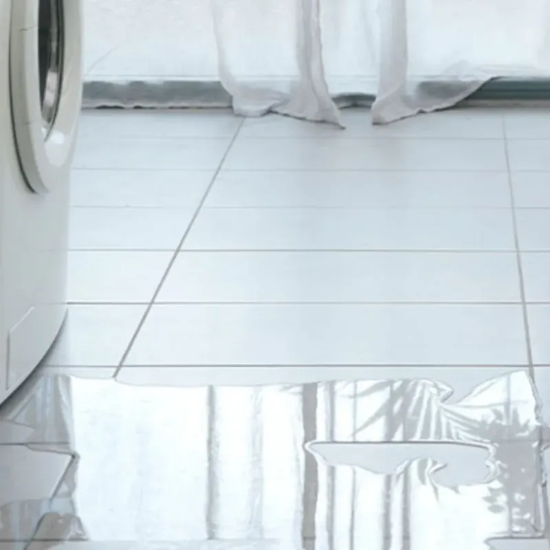 Appliance Leak Cleanup in Pleasant Prairie, WI