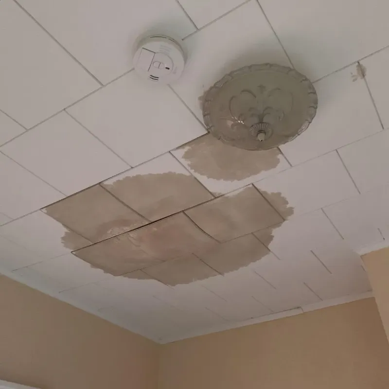 Ceiling Water Damage Repair in Pleasant Prairie, WI
