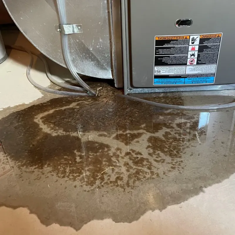 Pipe Burst and Leak Restoration in Pleasant Prairie, WI
