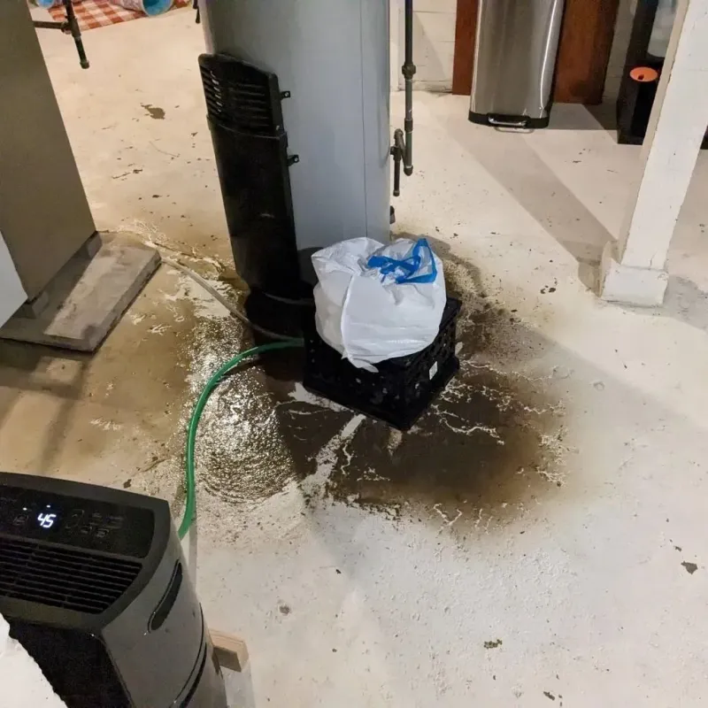 Sewage Backup Cleanup Service in Pleasant Prairie, WI